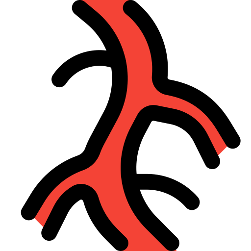 VEIN