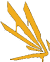 Icarus